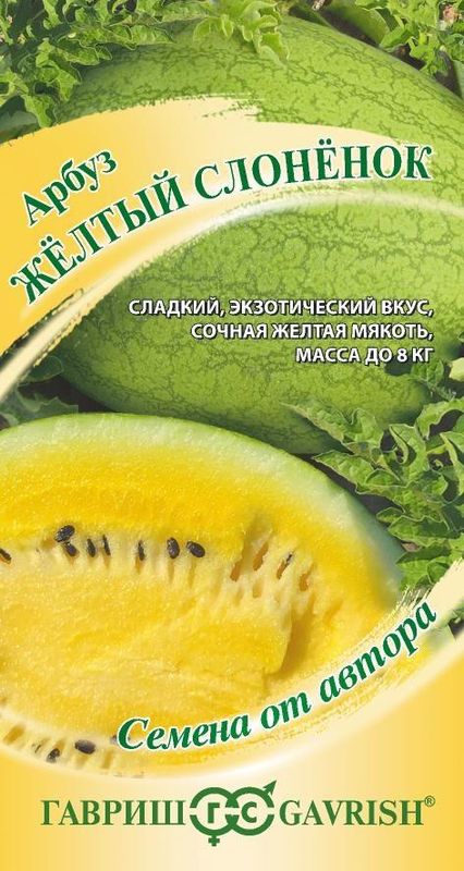 

арбуз желтый слоненок семена, арбуз желтый слоненок семена купить