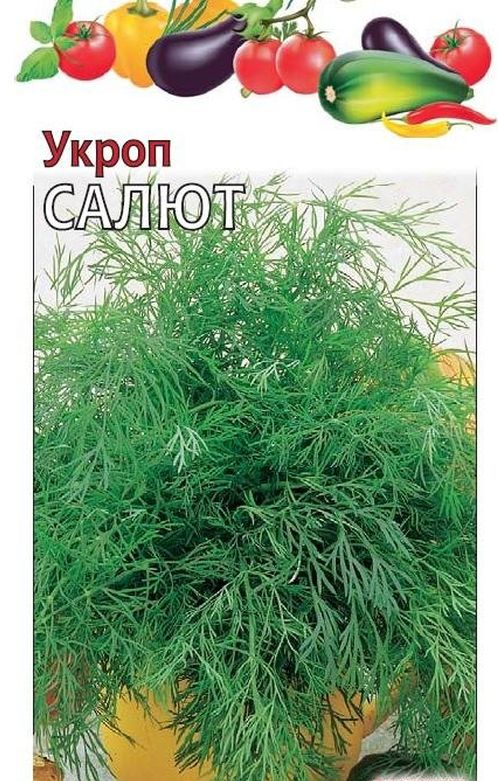 Укроп Салют