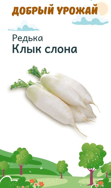 Редька Клык слона