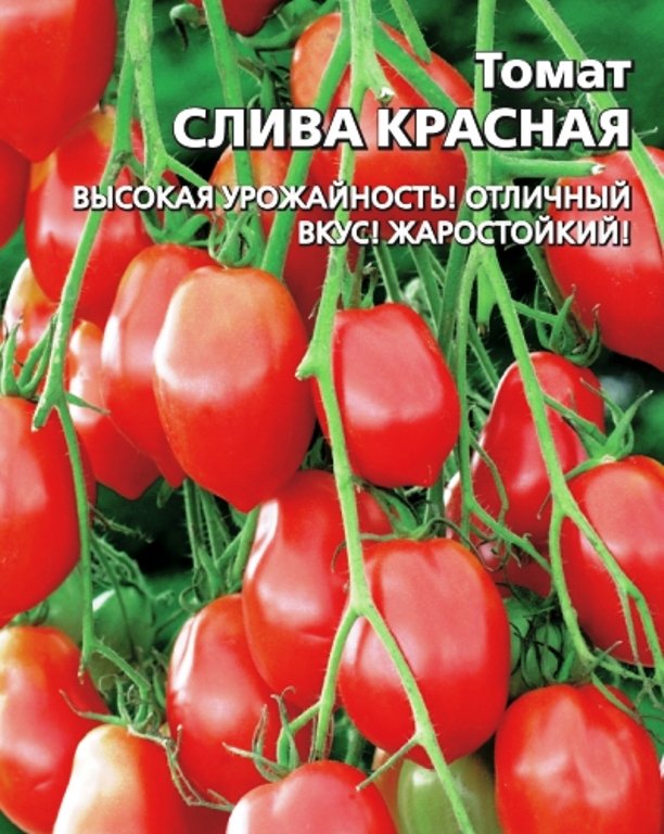 

томат слива красная семена, томат слива красная семена купить