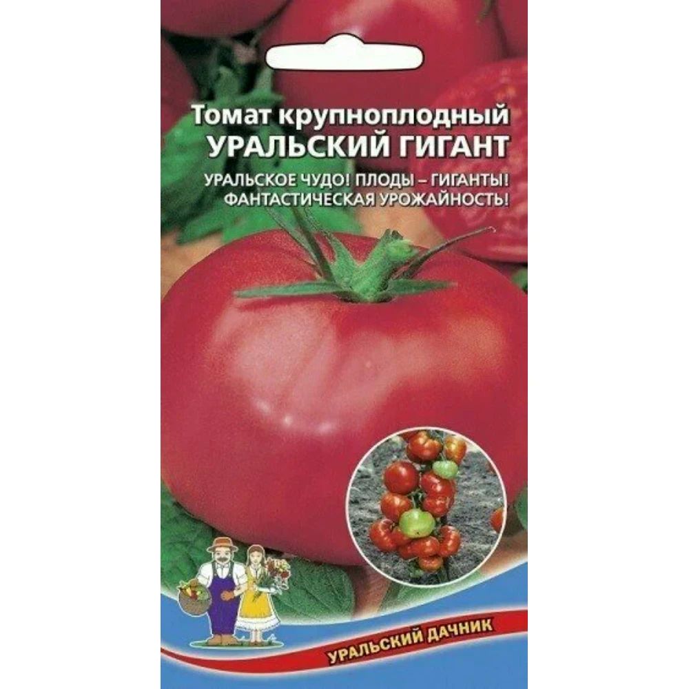 Томат Малиновый Гигант Описание Сорта Фото