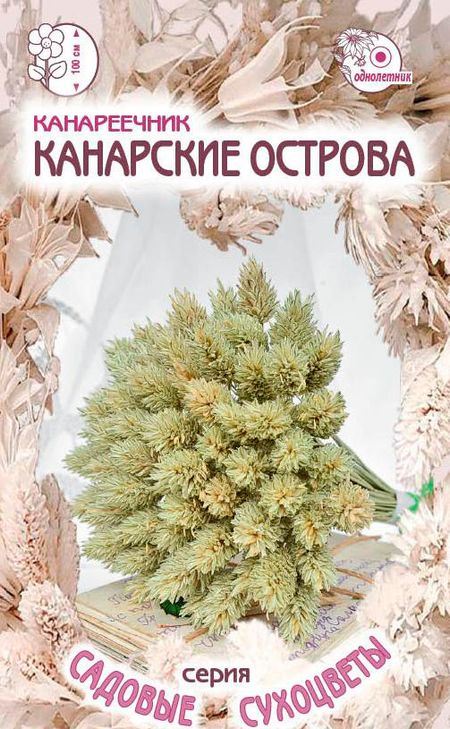 

канареечник канарские острова семена, канареечник канарские острова семена купить