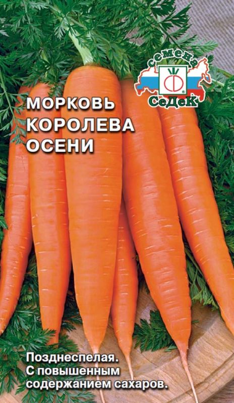 

морковь королева осени семена, морковь королева осени семена купить