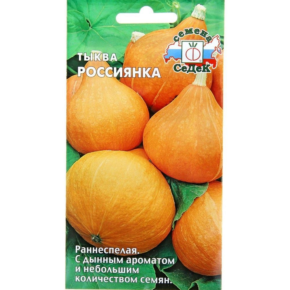 

тыква россиянка семена, тыква россиянка семена купить