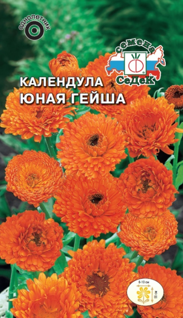 

календула юная гейша семена, календула юная гейша семена купить