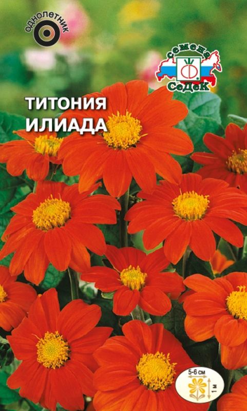 

титония илиада семена, титония илиада семена купить