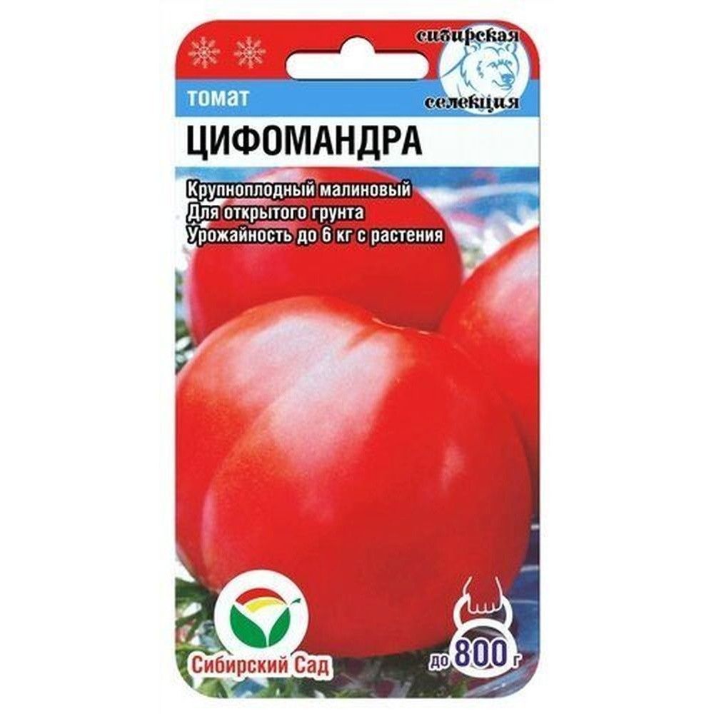 

томат цифомандра семена, томат цифомандра семена купить
