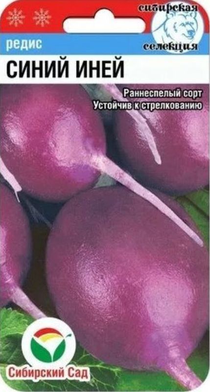 

редис синий иней семена, редис синий иней семена купить