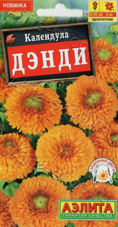 

календула дэнди семена, календула дэнди семена купить