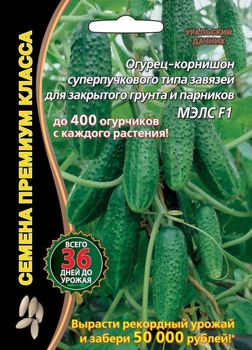 

огурец мэлс f1® семена, огурец мэлс f1® семена купить