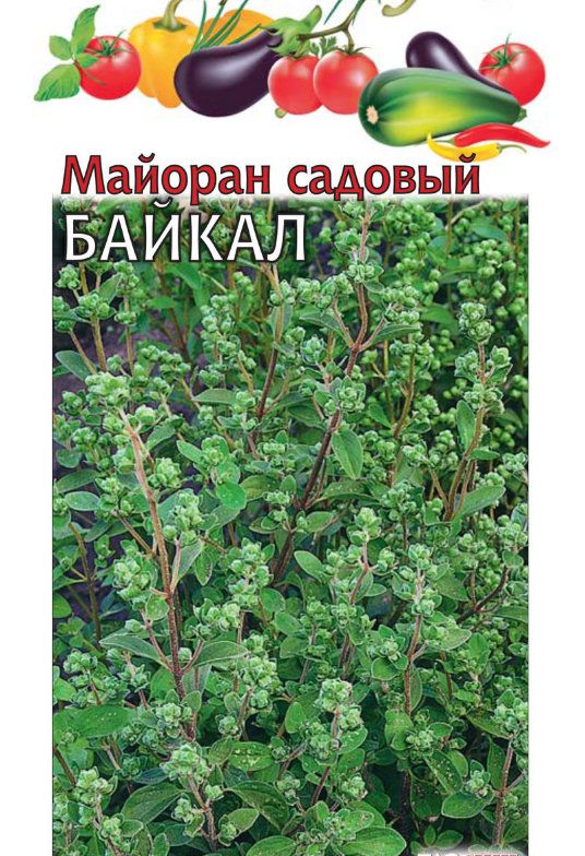 

майоран садовый байкал семена, майоран садовый байкал семена купить