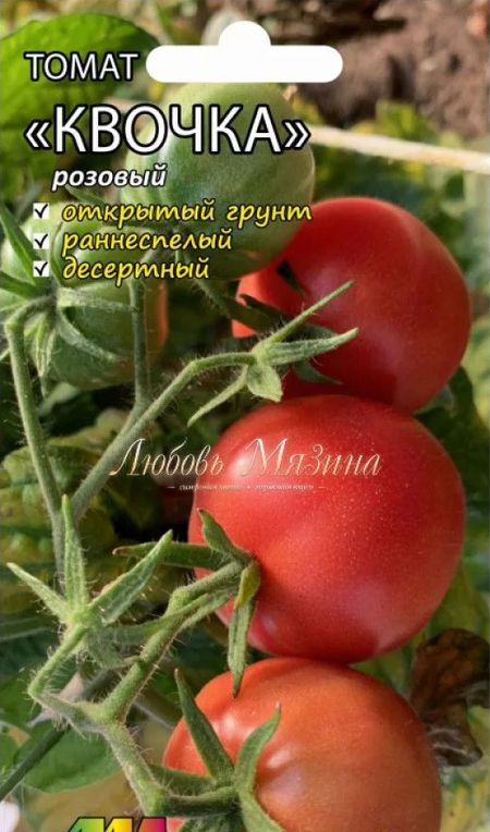 

томат квочка розовый семена, томат квочка розовый семена купить