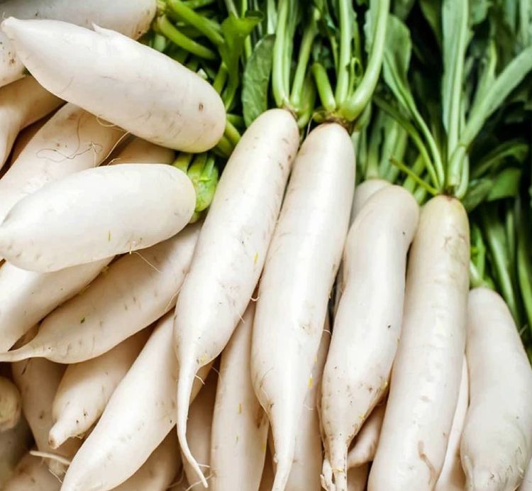 Редиска белая длинная. Редька дайкон. Белая редька дайкон. Японский дайкон. Редька дайкон Лоба