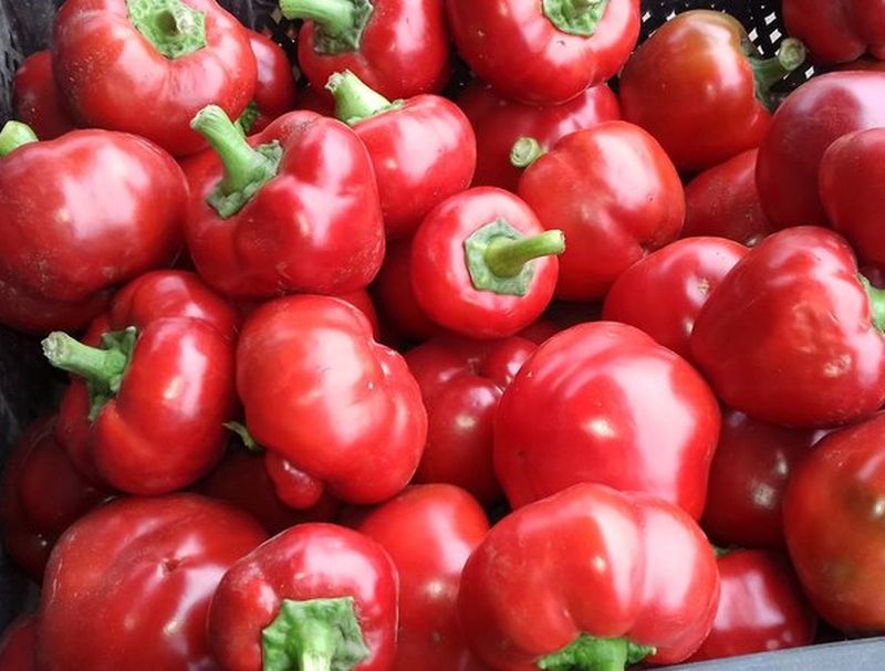 Совместные покупки - Томск - Перец Яблочный Онтара - Ontara Pepper : Семена тома
