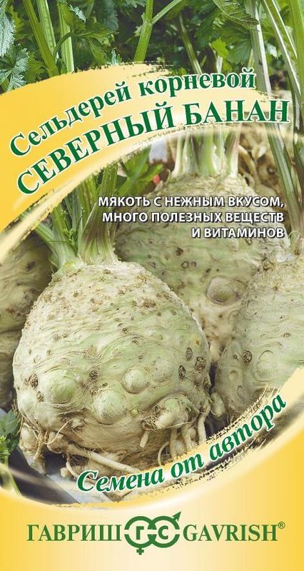

сельдерей корневой северный банан семена, сельдерей корневой северный банан семена купить