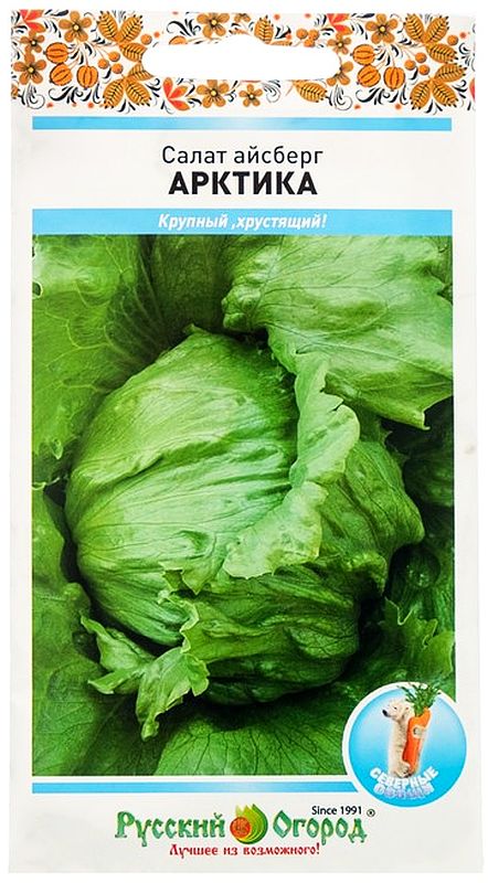 

салат кочанный айсберг арктика семена, салат кочанный айсберг арктика семена купить