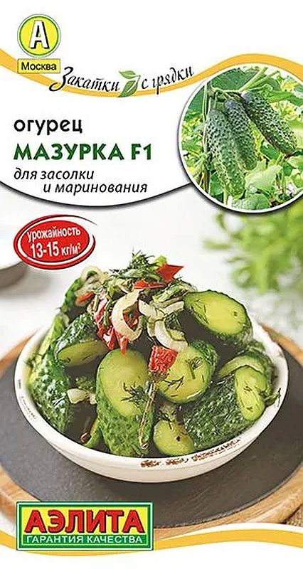 

огурец мазурка f1 семена, огурец мазурка f1 семена купить