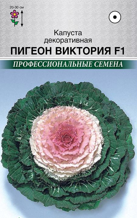 Капуста декоративная Пигеон F1 Виктория