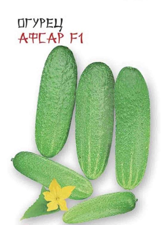 Огурец Афсар F1