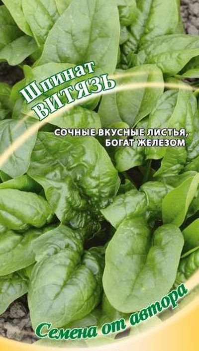 Шпинат Витязь