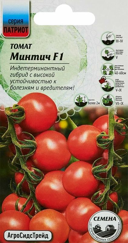 

томат минтич f1 семена, томат минтич f1 семена купить