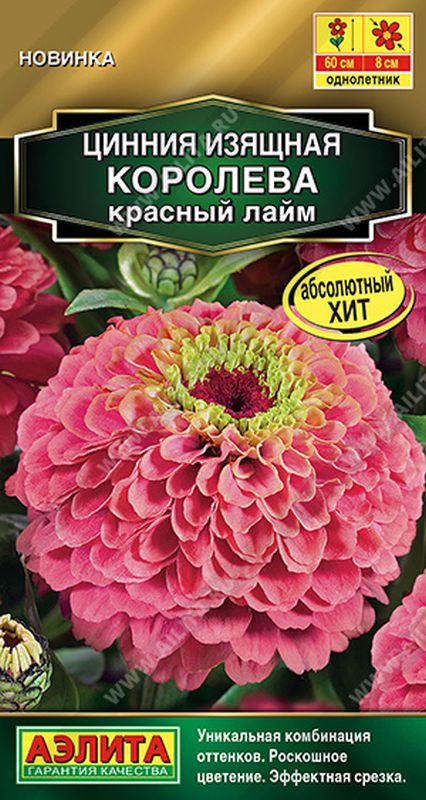 

цинния королева красный лайм семена, цинния королева красный лайм семена купить