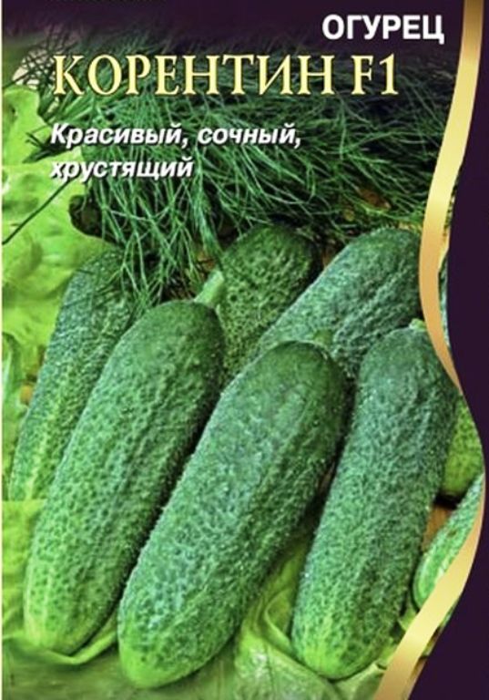 Огурец КорентинF1