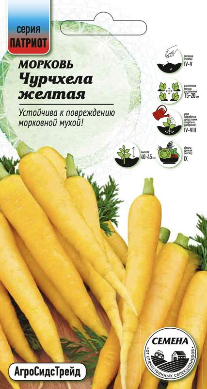 

морковь чурчхела желтая семена, морковь чурчхела желтая семена купить