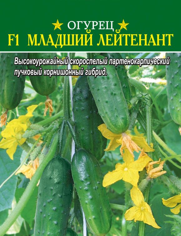 Огурец F1 Младший лейтенант