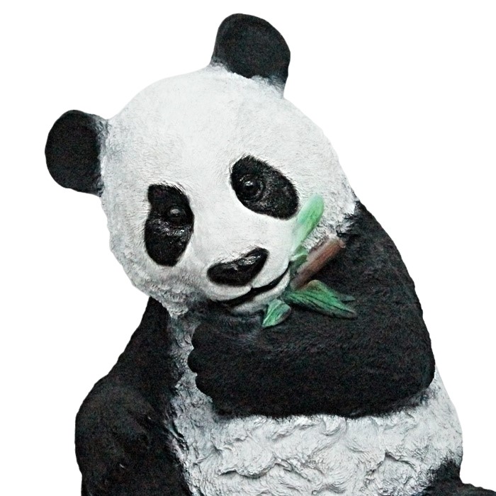 Мишка панда пальма. Мишка панда 3 д на ногтях. Мишка панда пальма. Гибрид панды и медведя. Зверь похожий на панду.