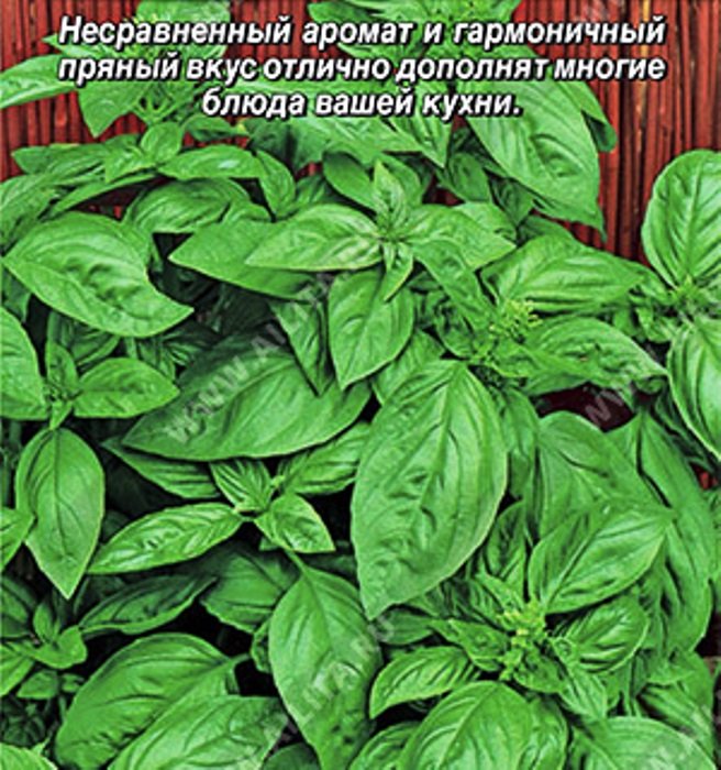 Базилик овощной Гурман гвоздичный ®