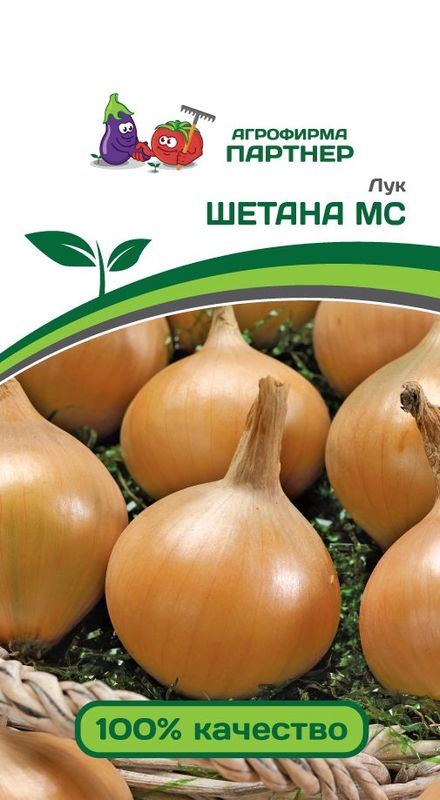 

лук репчатый шетана мс семена, лук репчатый шетана мс семена купить