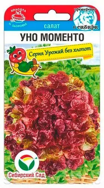 

салат листовой уно моменто семена, салат листовой уно моменто семена купить