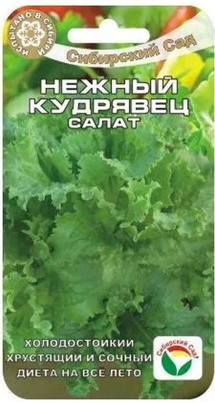 Салат листовой Нежный кудрявец