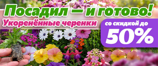 Вегетативная коллекция!