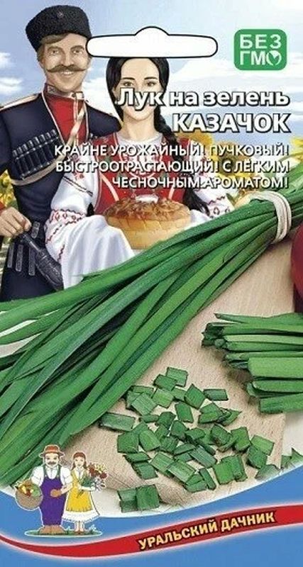 

лук на зелень казачок (кявар) семена, лук на зелень казачок (кявар) семена купить