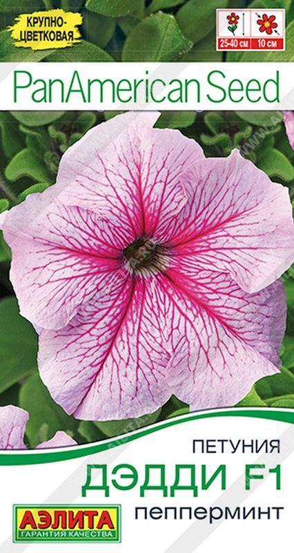 

петуния дэдди f1 пепперминт семена, петуния дэдди f1 пепперминт семена купить