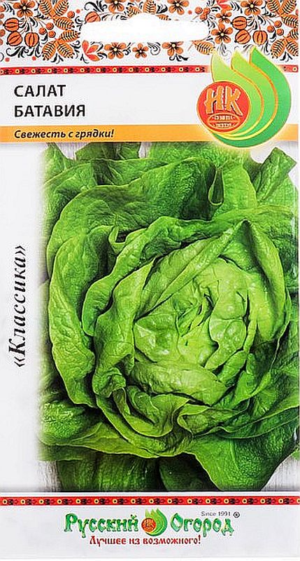 

салат кочанный батавия семена, салат кочанный батавия семена купить