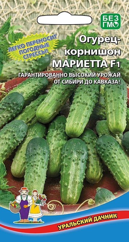 

огурец мариетта f1 - корнишон семена, огурец мариетта f1 - корнишон семена купить