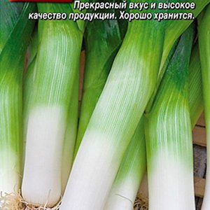 

лук порей хобот слона® семена, лук порей хобот слона® семена купить