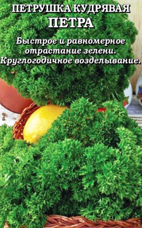 Петрушка кудрявая Петра