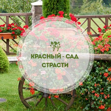 Красный: сад страсти 