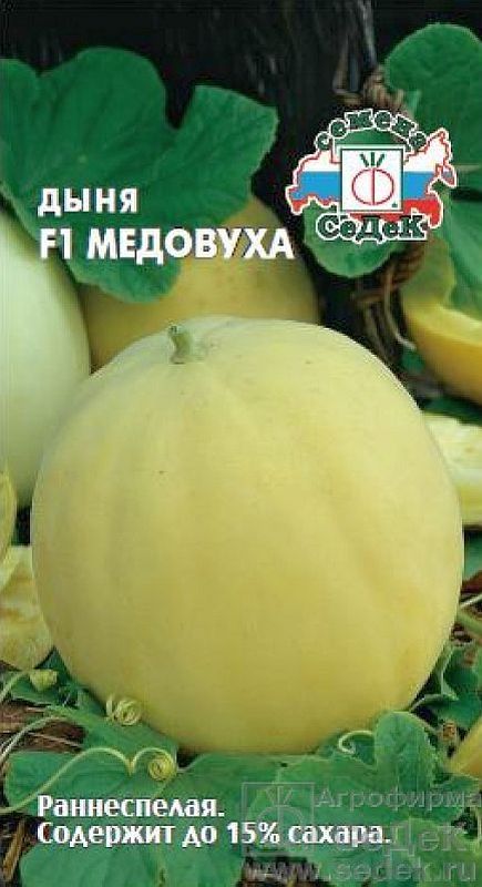 

дыня f1 медовуха семена, дыня f1 медовуха семена купить
