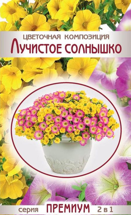 

цветочная композиция лучистое солнышко семена, цветочная композиция лучистое солнышко семена купить