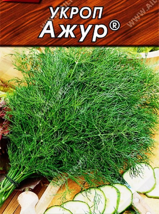 

укроп ажур ® семена, укроп ажур ® семена купить