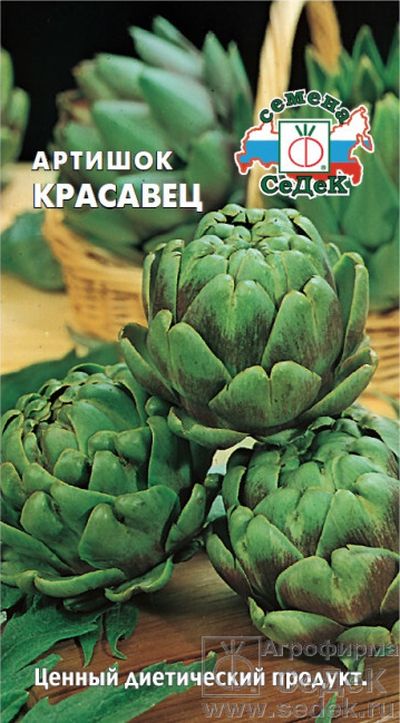 

артишок красавец семена, артишок красавец семена купить