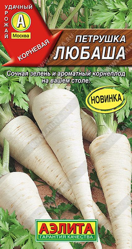 

петрушка корневая любаша семена, петрушка корневая любаша семена купить