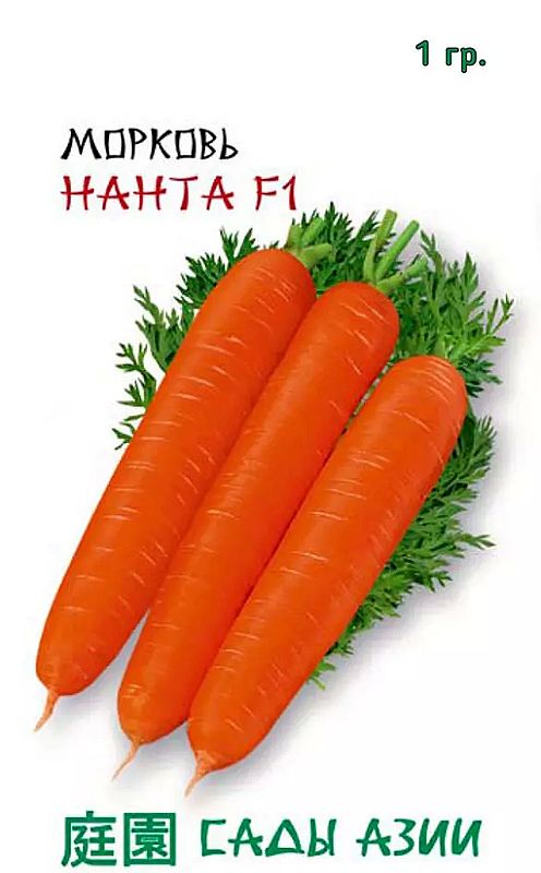 

морковь нанта f1 семена, морковь нанта f1 семена купить