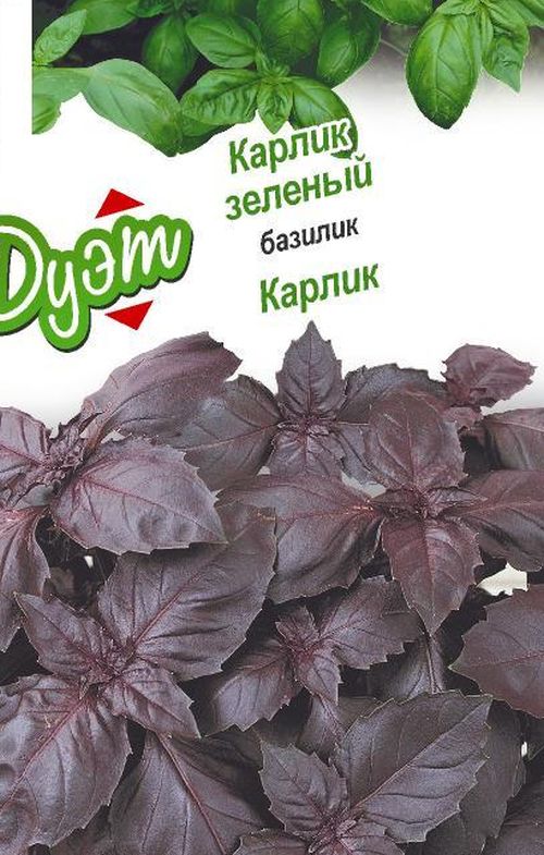 Базилик Карлик + Карлик зеленый серия Дуэт