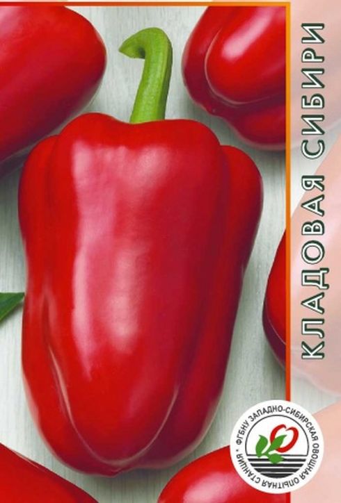 Перец сладкий Викинг